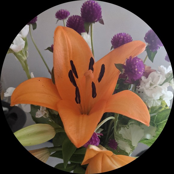 Meet your Posher, Caitlin - Picture 1 of 1